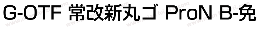G-OTF 常改新丸ゴ ProN B字体转换